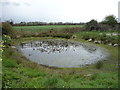 Pond near Heath Farm in NR13 6JP