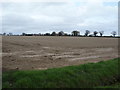Field off Plumstead Road in NR13 6JJ