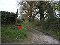 Farm track off Burlingham Road in NR13 6DL