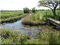 A dyke and footbridge on Stodmarsh National Nature Reserve in CT3 4BN