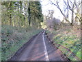 Church Lane passing through passing by Church Wood in TN25 4DD