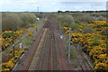 Railway Line to Kilwinning in KA20 3PB