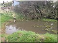 Pond near Merry Oak Farm in B96 6JA