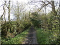 Bridleway Skirting Owday Wood in S81 7RZ