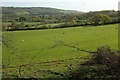 Sheep pasture near Flax Bourton in BS48 3PL