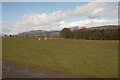 Field beside Blaircessnock in FK8 3JZ