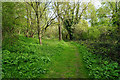 Path on Mitcham Common in CR4 1HT