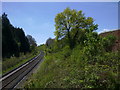 Looking south on railway from Hackenden Lane bridge in RH19 3JN
