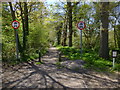 Hackenden Lane enters woodland in RH19 3DW