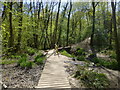 Stream crossing at the bottom of Ghyll Steps in RH19 3TR