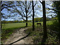 Edge of football ground in Ashplats Wood in RH19 3TR