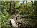Stream crossing in Ashplats Wood in RH19 3TR