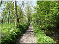The Thames Path near Ashton Keynes in SN6 6NP