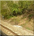 View of the railway cutting from a stationary train, south of Blatchbridge in BA11 5BN