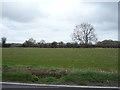 Farmland south of Main Road (A1064) in NR29 3AG