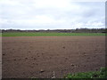 Field off Tower Road in NR29 5GY