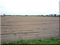 Field off Ormesby Lane in NR29 3HY