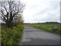Filby Lane in NR29 3JS