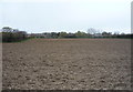 Field south of Station Road, Ormesby St Margaret in NR29 3QE
