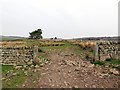 Bridleway north of Townhead in NE48 2SB