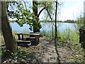 Picnic table, Freeth Mere SSSI in GL7 6FJ