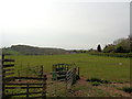 Fields and Little Dodford Farm, Worcestershire in B61 9DF