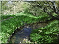 River Rom flowing through The Chase Nature Reserve in RM7 0YX