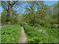 Path alongside the River Rom in The Chase Nature Reserve in RM7 0YX