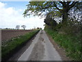 Lane heading west from Rollesby in NR29 5HW