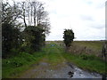 Gated farm track off The Street, Thurne in NR29 3BX