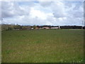 Farmland north of Repps Road in NR29 3BY