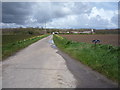 Track to Abbey Farm in NR29 3BY