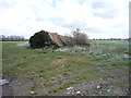 Ruined farm building off Mill Lane in NR29 4RB