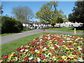 Flower bed in South Park in IG1 1TZ