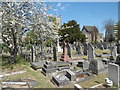 Blossom in Buckingham Road Cemetery in IG1 1TZ