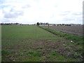 Field margin off Repps Road in NR29 4RN