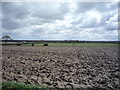 Fields south of Hemsby Road in NR29 4PD