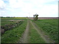 Farm track (footpath) towards West Somerton in NR29 4DU
