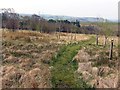 Footpath from Halls Hill in NE48 2SB