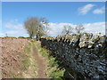 Stone wall alongside the Logan in DD2 5NP