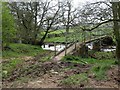 Footbridge over Lisles Burn in NE48 2SH