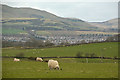 Midlothian : Countryside Scenery in EH26 8QB