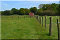 Paddocks near Stuckton in SP6 2HG