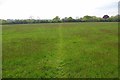 Footpath Across a Hay Meadow in CM9 6SL