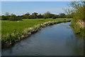 River Avon at Bickton in SP6 2HA