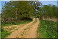 Footpath on track near Midgham Farm in SP6 3DA