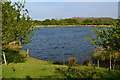 View over lake at Ibsley in BH24 3PR