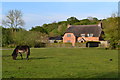 Cottage and pony, North Gorley in SP6 2PS