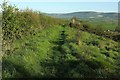 Path on Brinscombe Hill in BS26 2LH