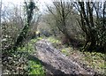Track to Greenhurst Farm in RH20 3NB